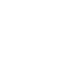 tiktok icon